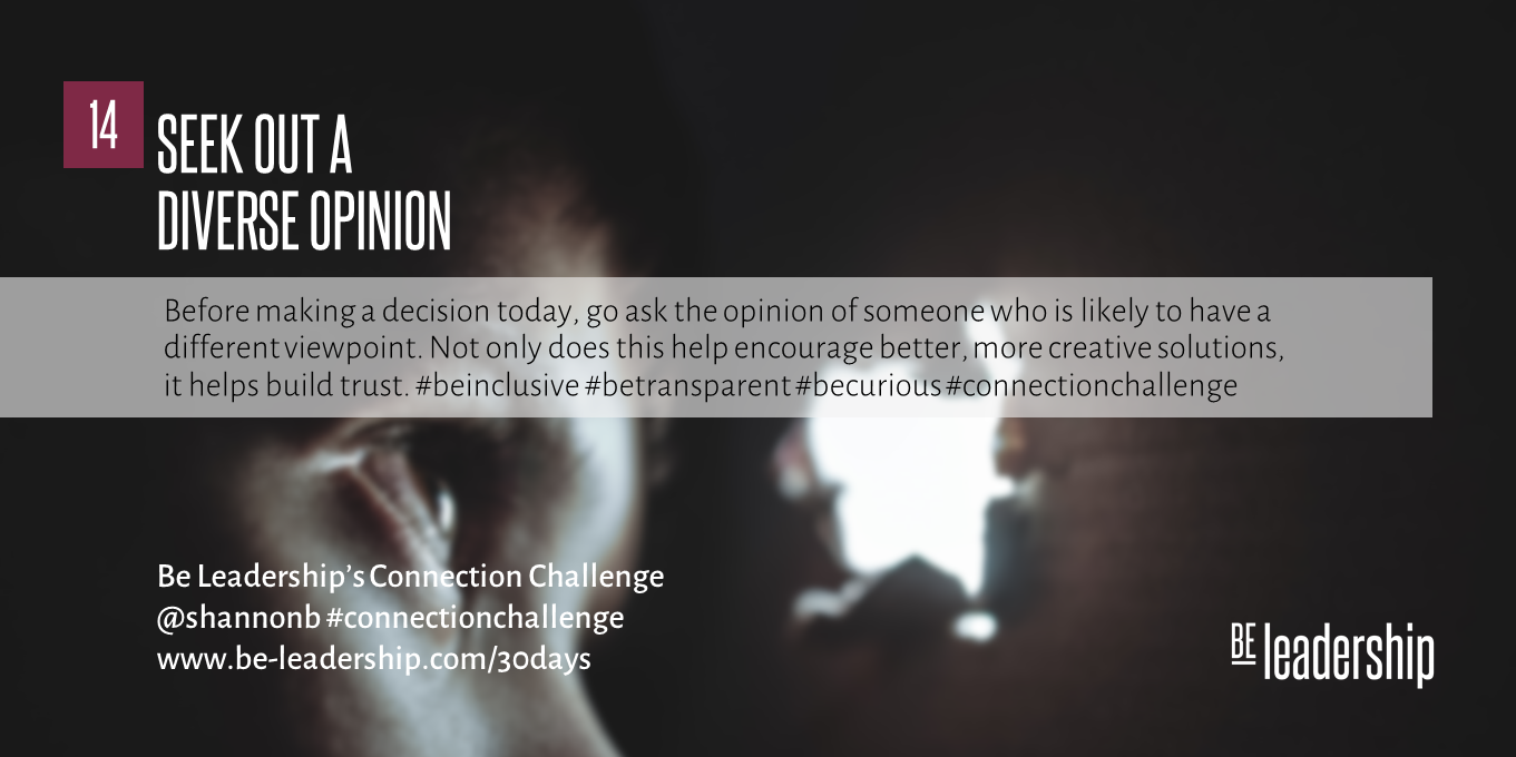 Day 14 Connection Challenge: Seek out a Diverse Opinion
